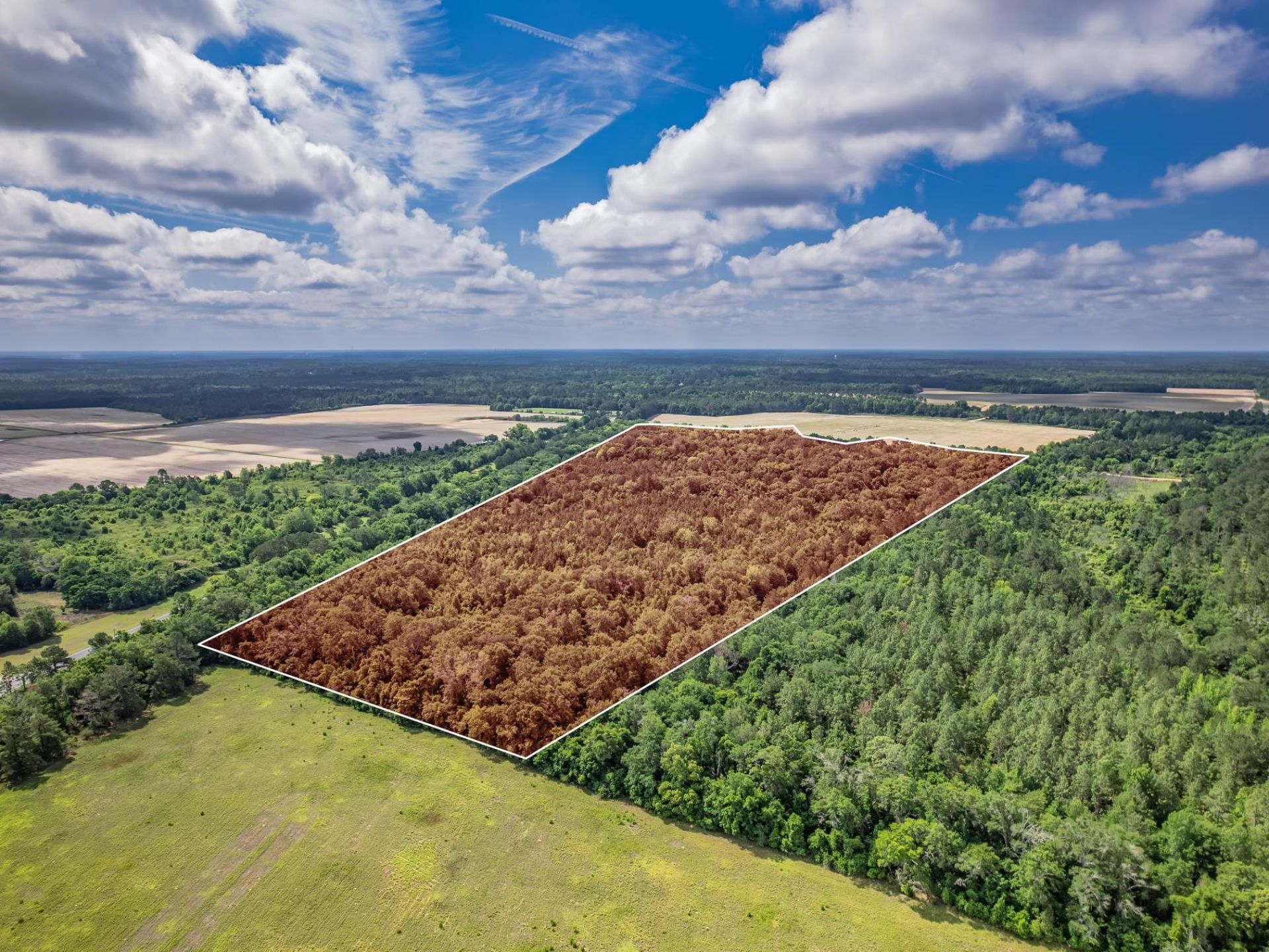 Xx Hough Farm Rd , Quincy, FL 32351 Photo