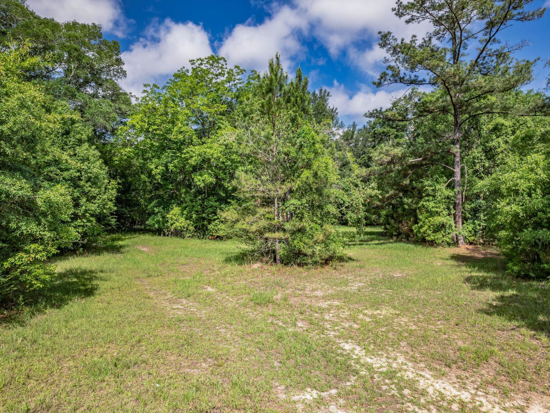 Xx Hough Farm Rd , Quincy, FL 32351 Photo