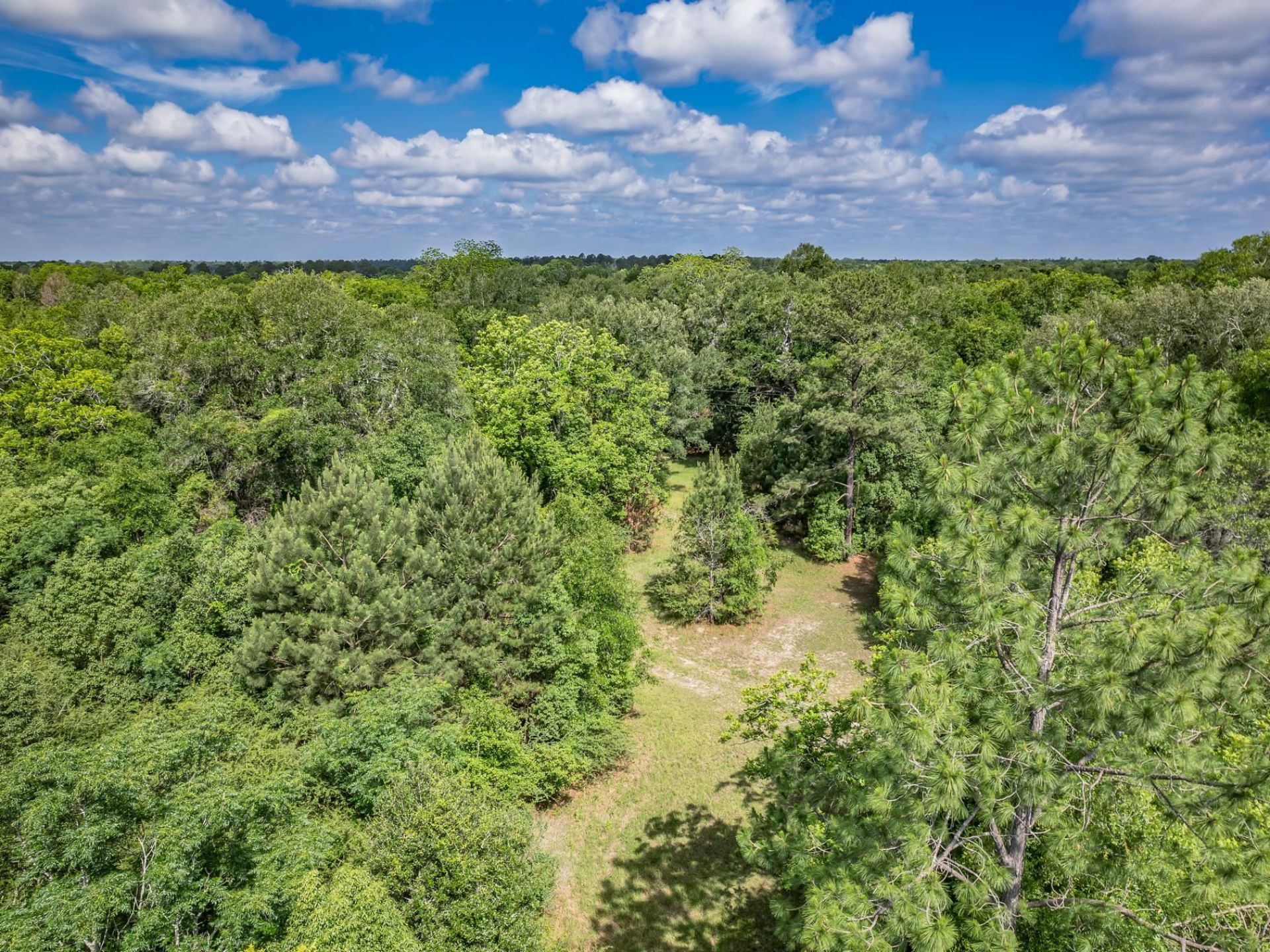 Xx Hough Farm Rd , Quincy, FL 32351 Photo