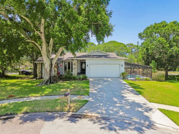 1421 IRONWORKS LANE , TARPON SPRINGS, FL 34689