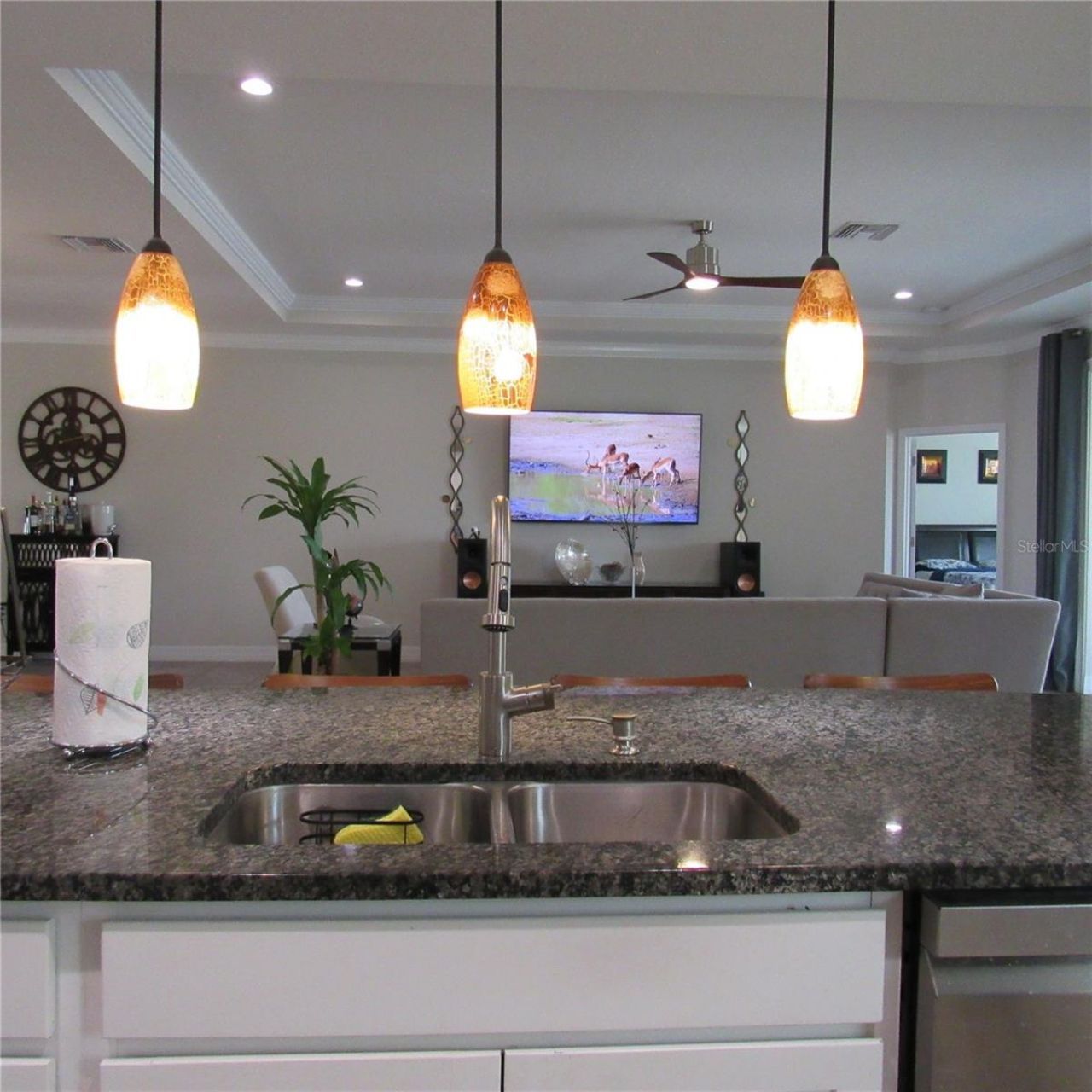 15609 Trinity Fall Way, Bradenton, FL 34212 Photo