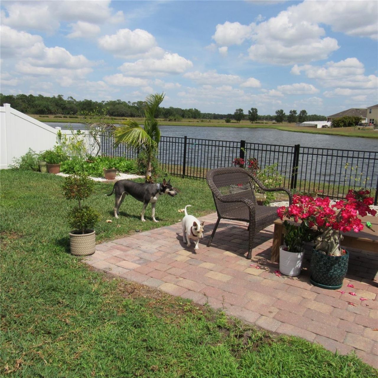 15609 Trinity Fall Way, Bradenton, FL 34212 Photo