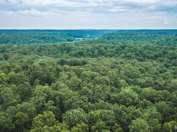 0 TBD Hwy 51 , Marble Hill, MO 63764