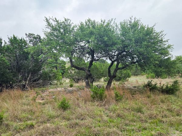 TBD Falling Oak, Blanco, TX 78606