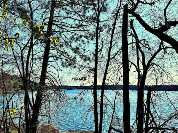 TBD Rognaldson Road , Brainerd, MN 56401