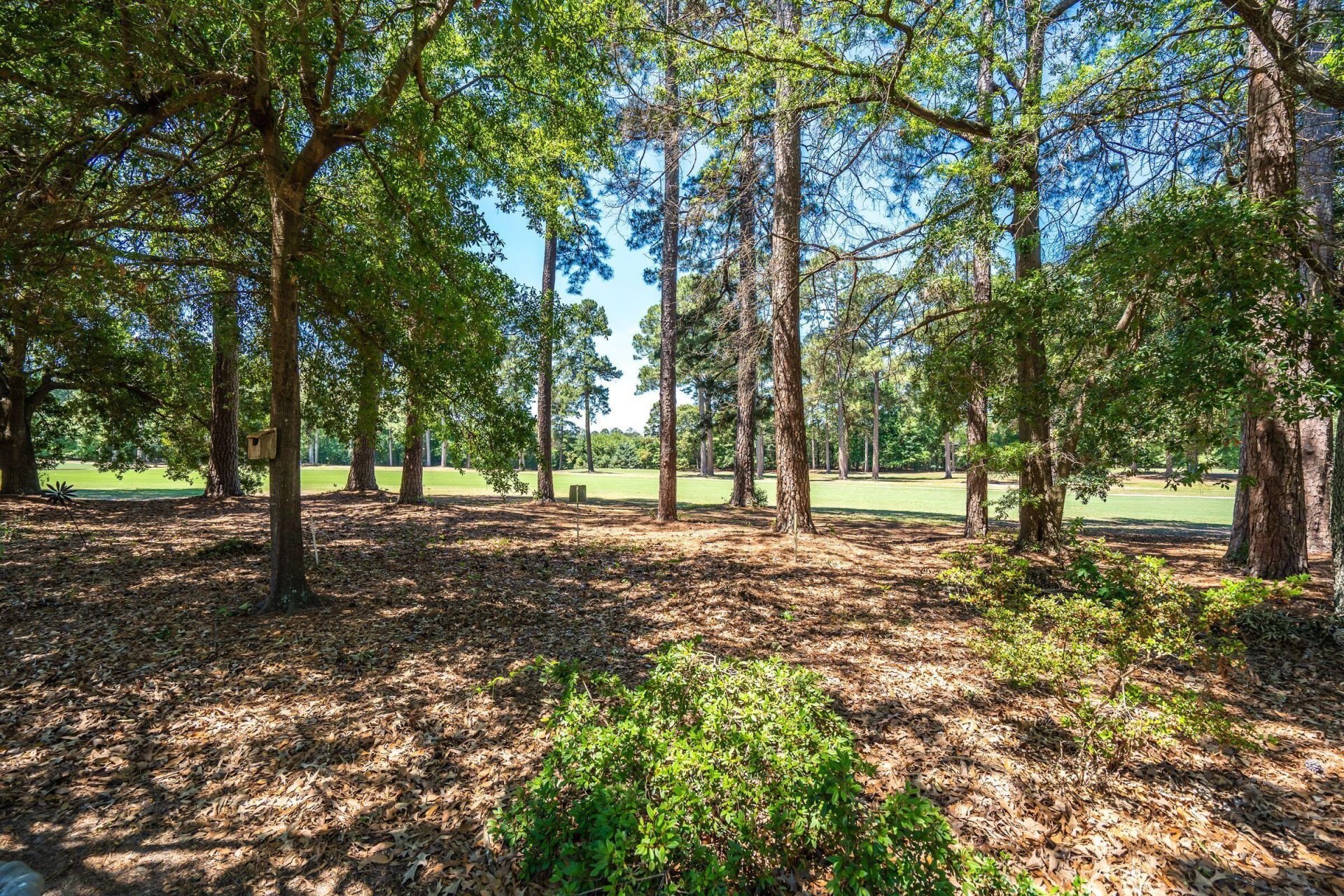 144 Saluda Drive Photo 9