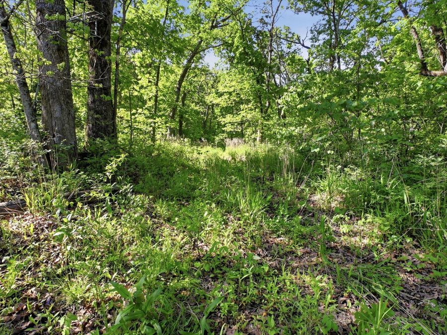 Property Image 60
