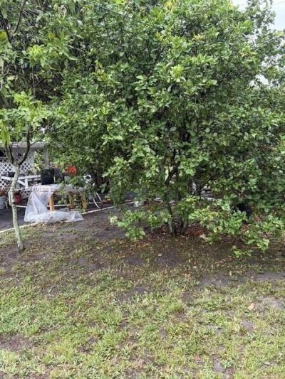 336 E 41st St , Hialeah, FL 33013 Photo