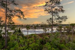 2316 Bucktail Court photo 4