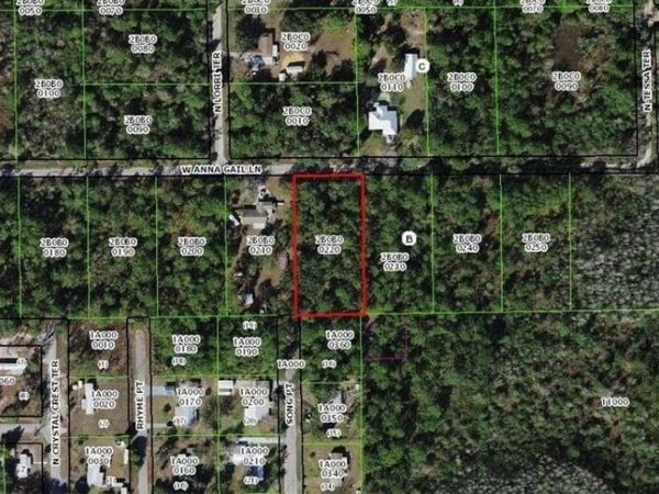 8266 W ANNA GAIL LANE , CRYSTAL RIVER, FL 34429