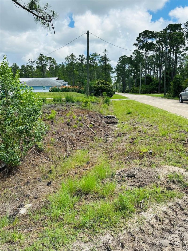 2873 Laurel Road, Deland, FL 32724 Photo