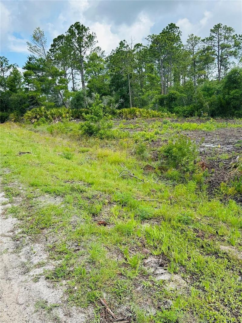 2873 Laurel Road, Deland, FL 32724 Photo