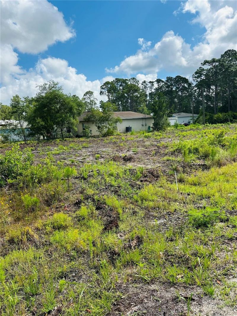 2873 Laurel Road, Deland, FL 32724 Photo