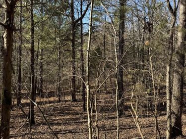 2311 John Wesley Trail , Harrison, TN 37341