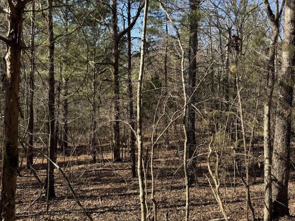 2311 John Wesley Trail , Harrison, TN 37341