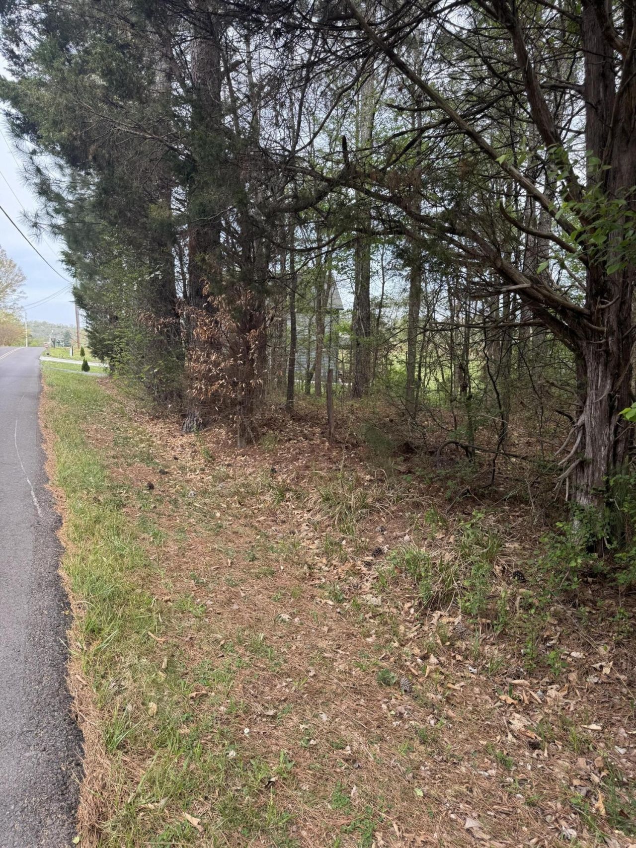 130 SE Trewhitt Drive Se, Cleveland, TN 37323 Main Photo