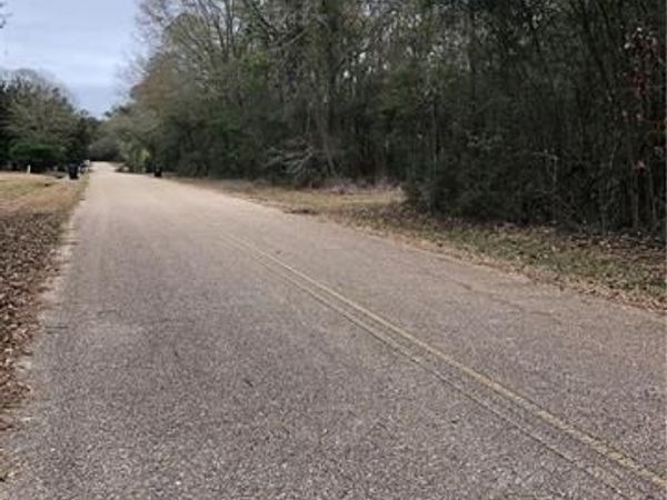 Lot 1 CHENEL Street, Folsom, LA 70437