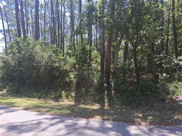 1205 Alabama Avenue , Dauphin Island, AL 36528