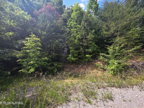 Ashley , Maynardville, TN 37807