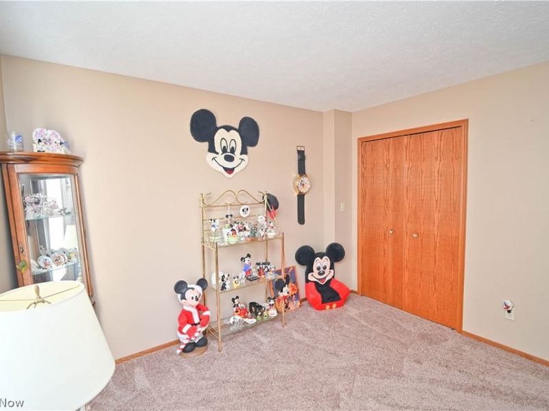 3608 Meander Reserve Circle , Canfield, OH 44406 Photo 25