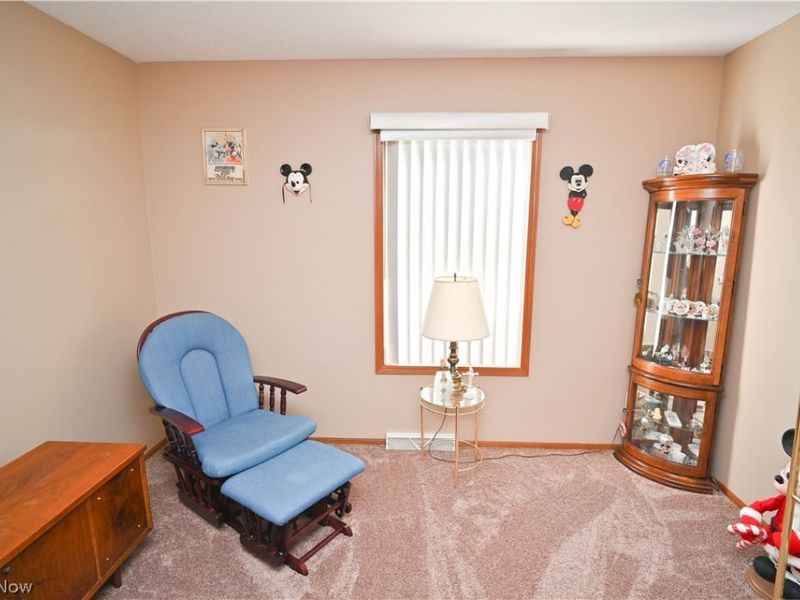 3608 Meander Reserve Circle , Canfield, OH 44406 Photo 26
