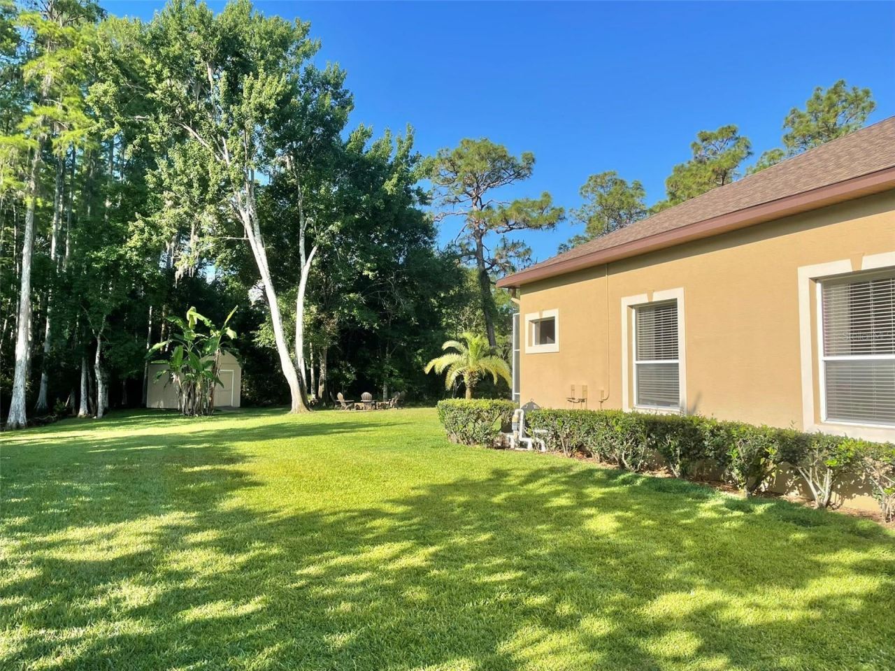 10852 Panicum Court, New Port Richey, FL 34655 Photo