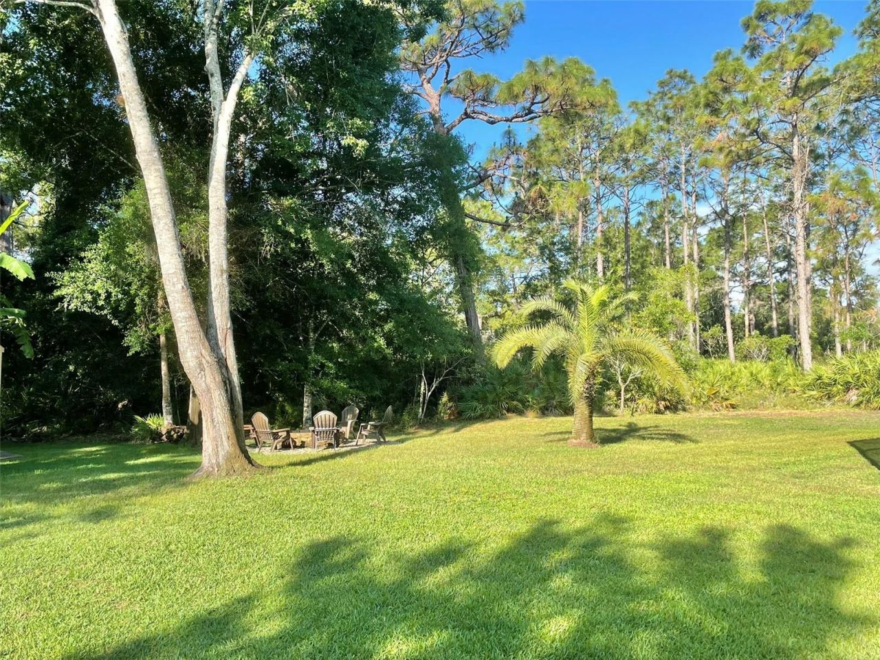 10852 Panicum Court, New Port Richey, FL 34655 Photo