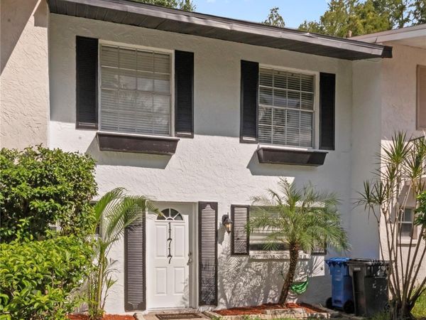 11717 WESSON CIRCLE E, TAMPA, FL 33618