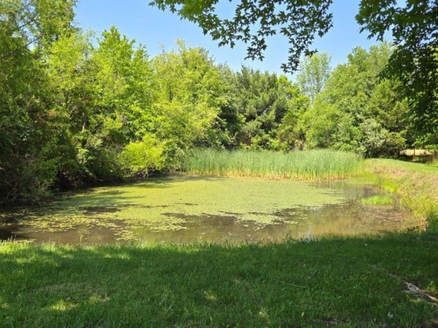 Property Image 62