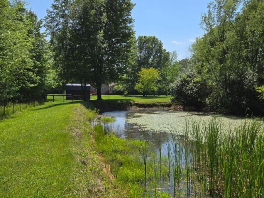 Property Image 63