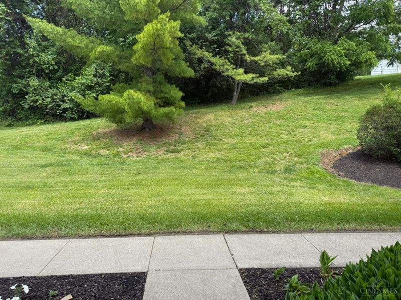 5530 Westwood Northern Boulevard, Cincinnati, OH 45248 Photo 6