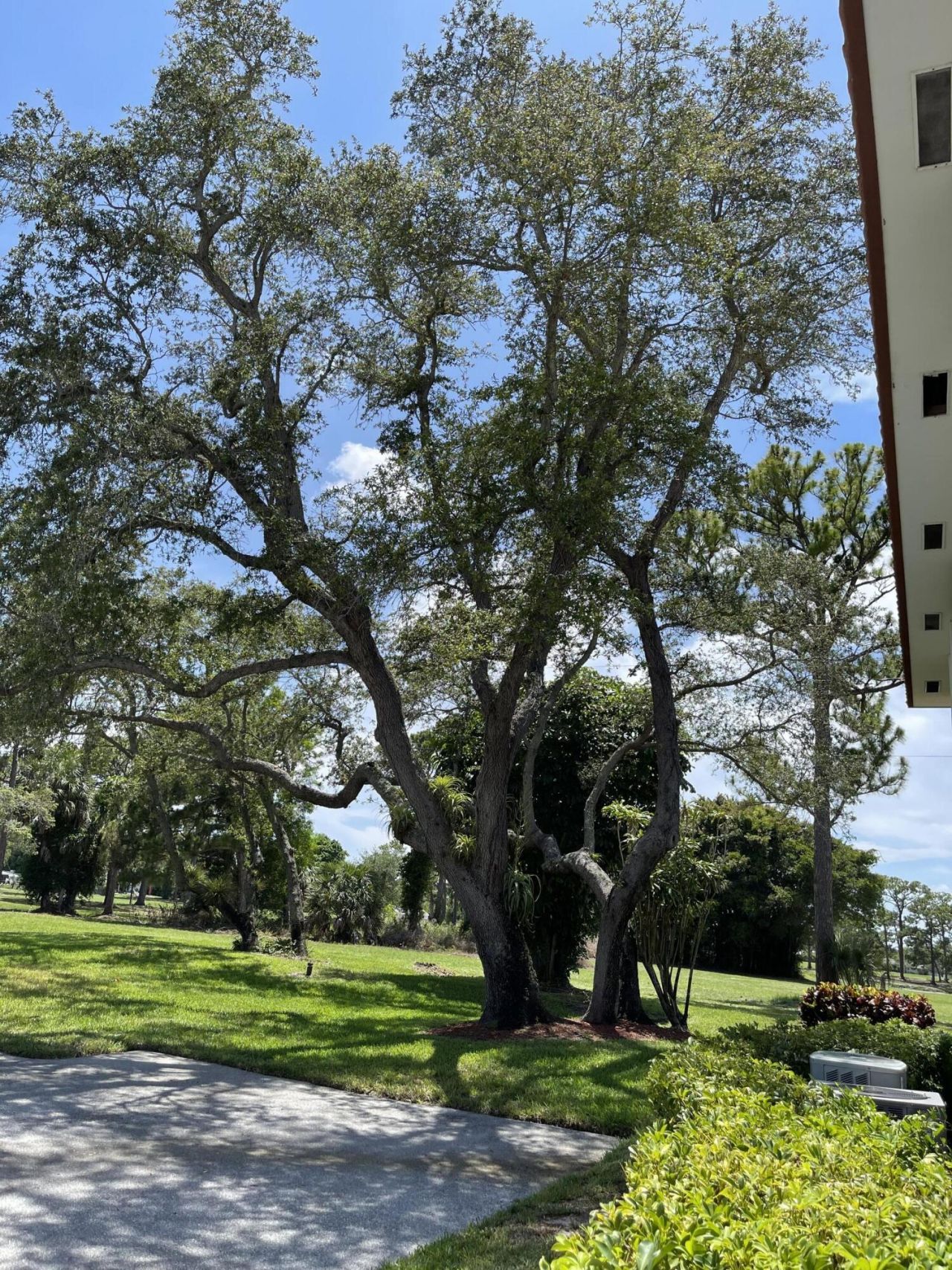 1225 NW 21st Street Nw, Unit 1505, Stuart, FL 34994 Photo