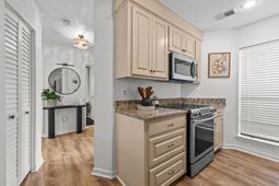 1102 Hidden Cove Drive photo 4