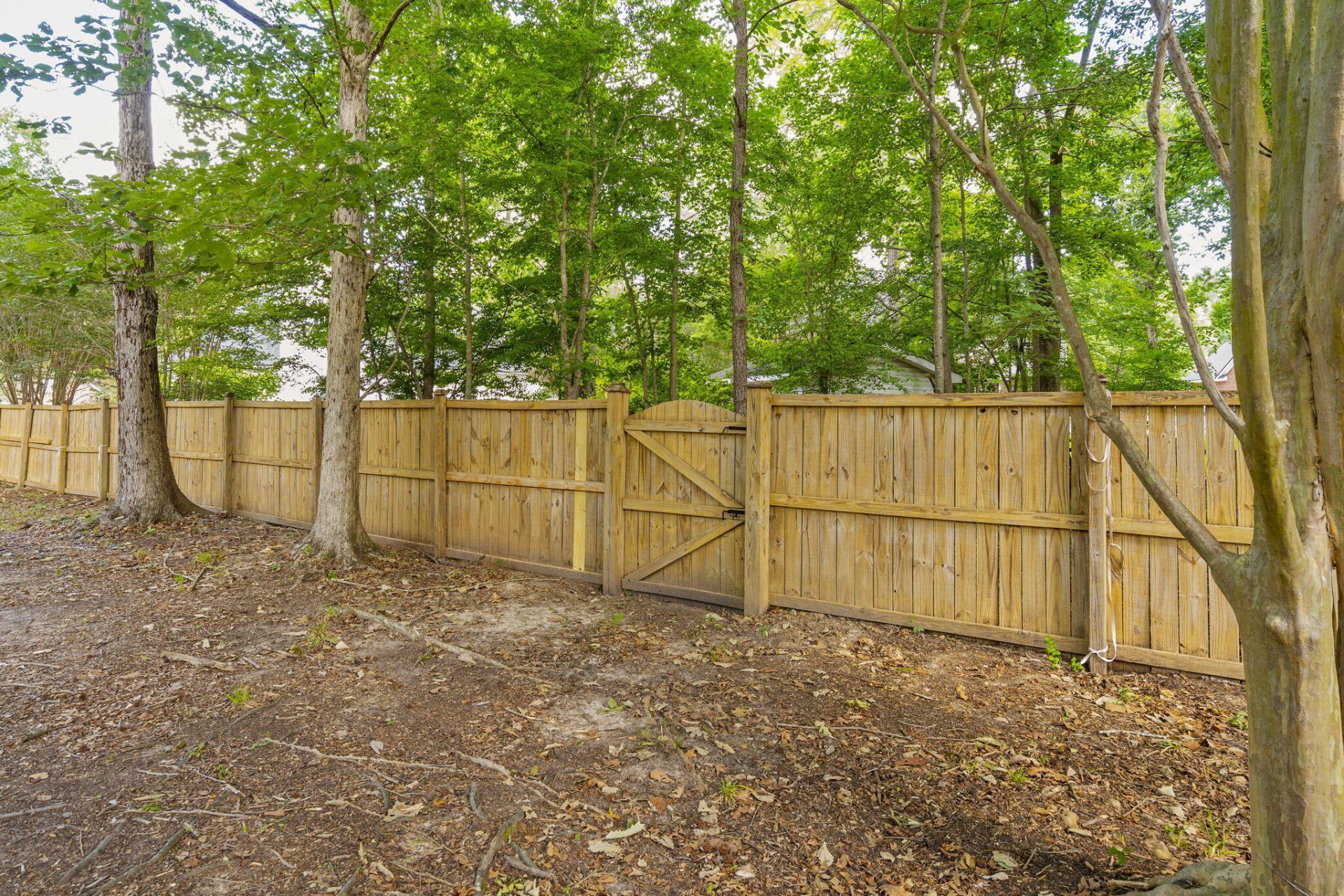111 Haleswood Circle Photo 49