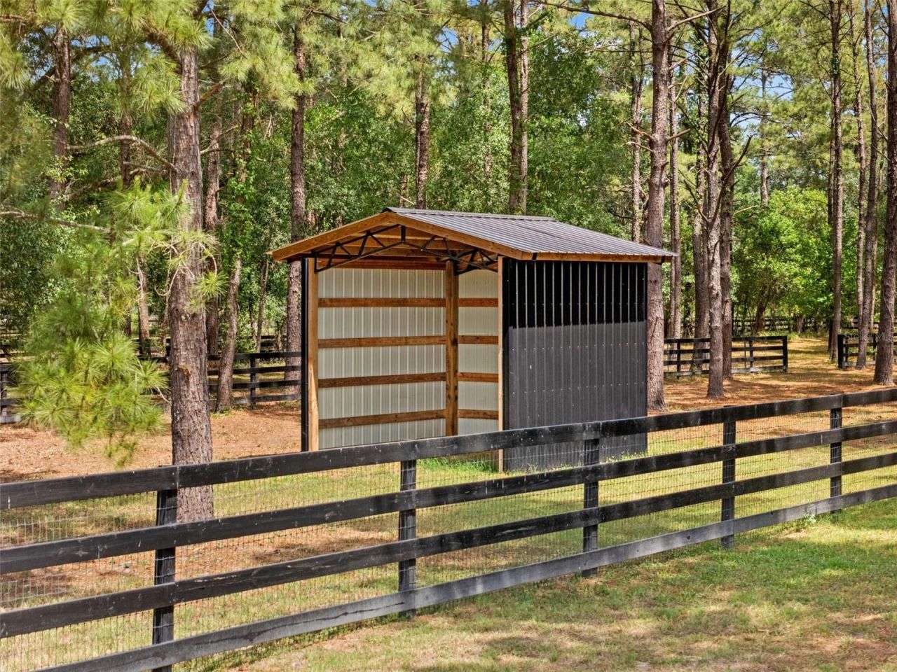 22201 Wise Owl Road, Brooksville, FL 34602 Photo