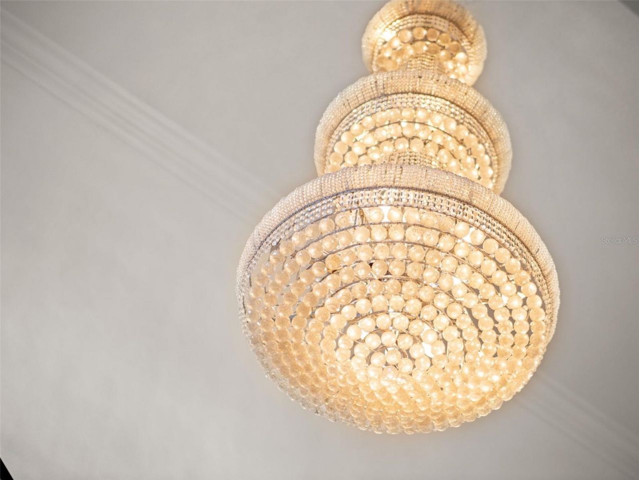 22201 Wise Owl Road, Brooksville, FL 34602 Photo