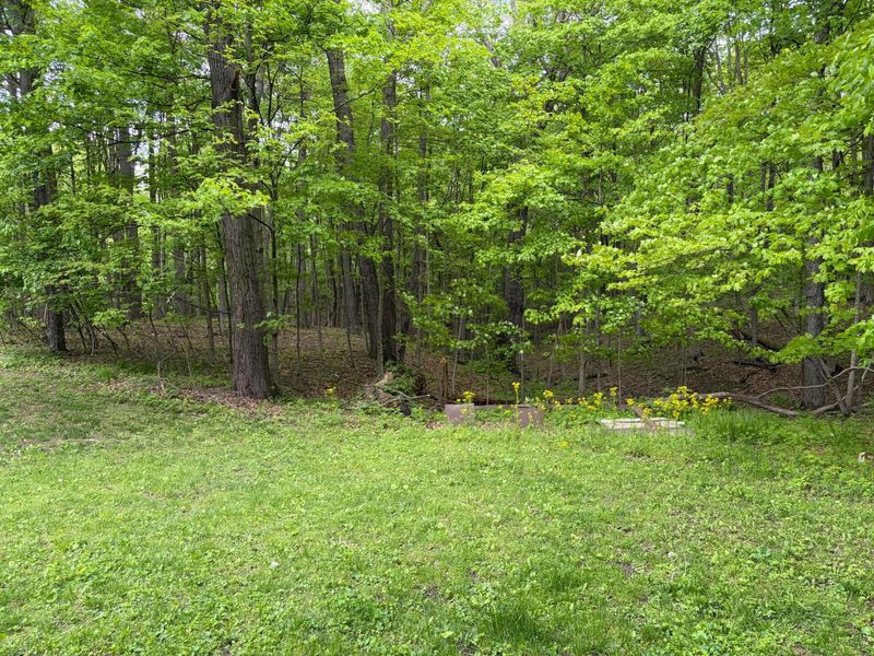 741 N 3 Bs And K Road, Sunbury, OH 43074 Photo 8
