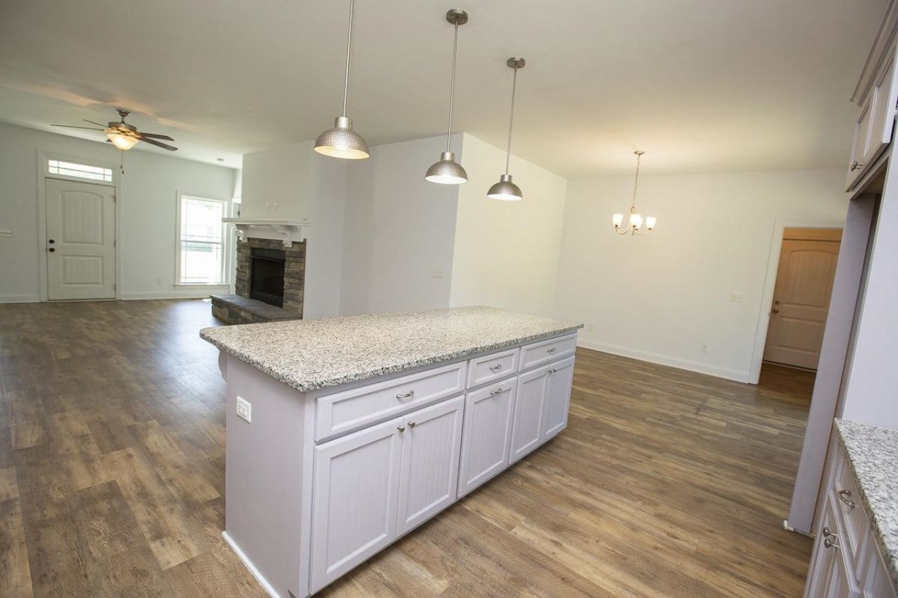 165 Joanna Gillard Ln. Photo 17
