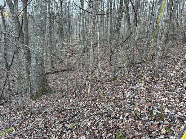 83 Stone Ridge Road , Pikeville, TN 37367