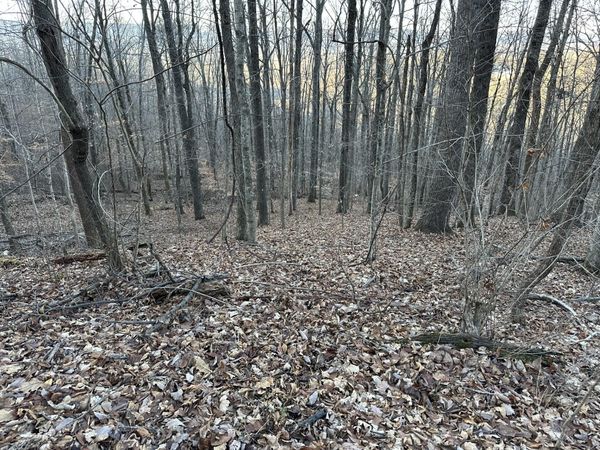 76 Fox Ridge , Unit 76, Pikeville, TN 37367