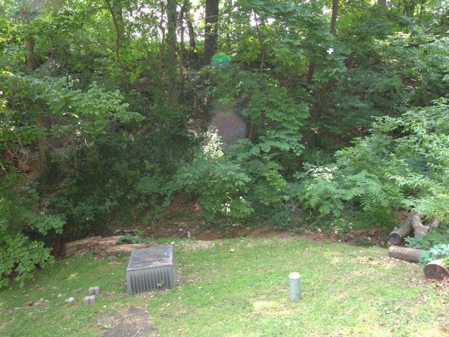 Property Image 33