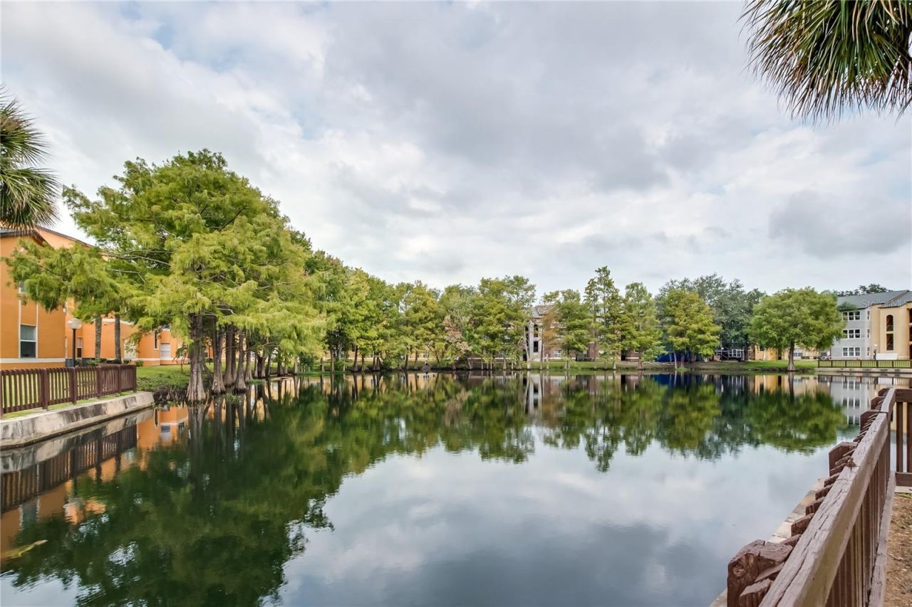 4528 Commander Drive , Unit 2011, Orlando, FL 32822 Photo
