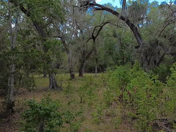 5813 SW 127TH AVENUE , MICANOPY, FL 32667