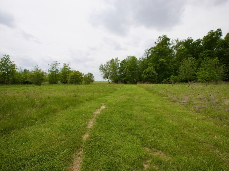 6275 Shindeldecker Road, Rockford, OH 45882 Photo 22