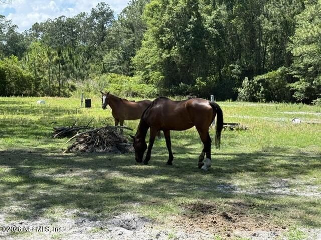 5214 Carter Spencer Road, Middleburg, FL 32068 Photo