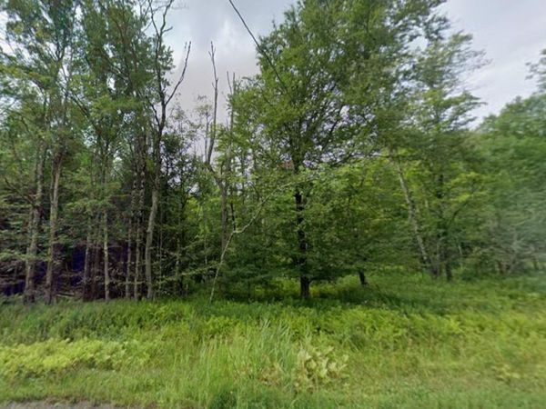 780 Tanzman Road , Parksville, NY 12768