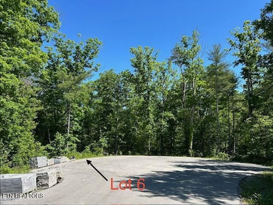Property Image 6