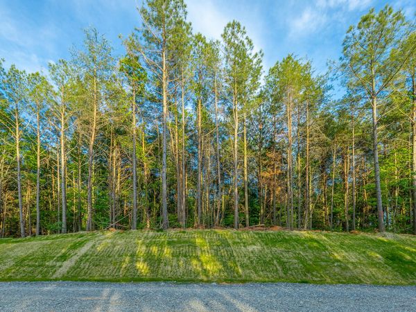 0 Cannon Way, Guild, TN 37340