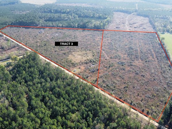 0 Graham Knight Road (Tract 3), Glennville, GA 30427