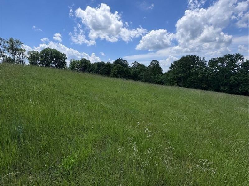 Johnson Ridge Road, Unit 4.641, Stockport, OH 43787 Photo 6